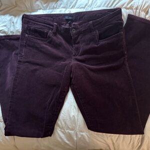 Dark Purple Corduroy Pants